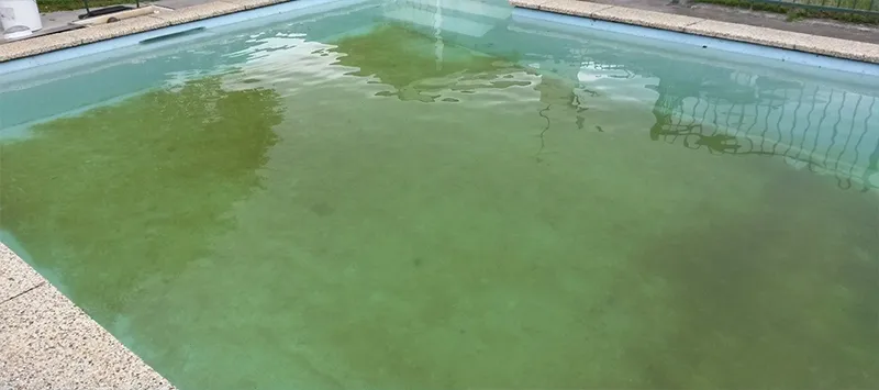 Kismet Green Pool
