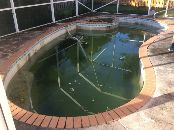 Kismet Green Pool